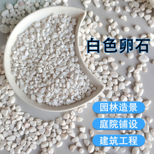 白色鹅卵石铺地小石头园林花盆铺面石庭院白石头铺路造景白石子