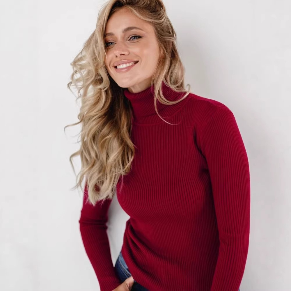 Hooded High Neck Long Sleeve Top for Women