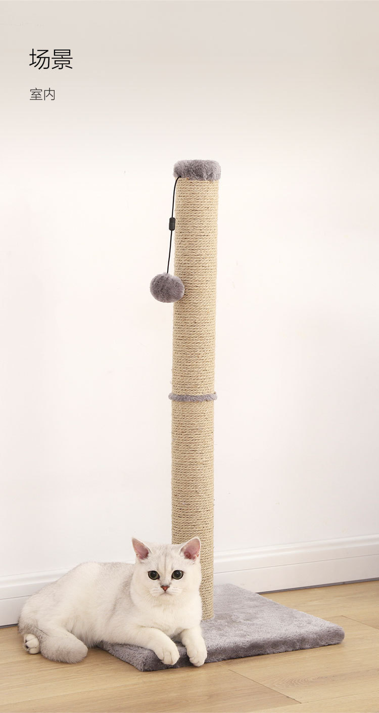 小兽星猫爬柱_10.jpg