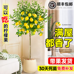��ˮ���ʘ����Կ�ʳ�Î����҃ȿ͏d����Gֲ�ϱ����Nֲ�ļ����B��