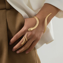 �W���羳�׺��_���������C��ָ�ɼ����F�����Կ��{��������b�Y��