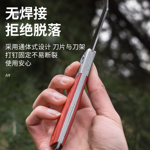 Special knife for grafting, fruit tree grafting knife, tree grafting tool, steel edge, fruit tree bud grafting artifact, sharp edge steel grafting knife