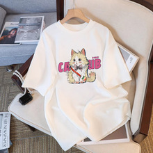 �ļ�����ins���޶���t��Ů�r���¿����e�����OӋ���@��Ů�����w��