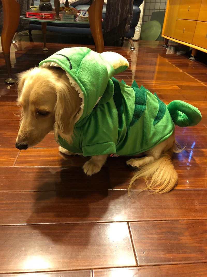 11C98DD0C35AB833162DDF812163A5