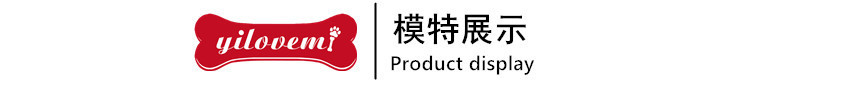1模特展示