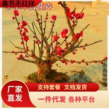 һ�����lͥԺ���� �D÷ �t÷ ��÷ �G÷ ��÷ �����D÷����÷����