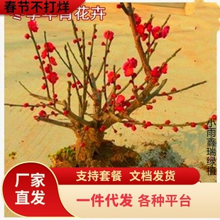 һ�����lͥԺ���� �D÷ �t÷ ��÷ �G÷ ��÷ �����D÷����÷����