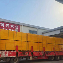 ���̹�����ľ���Ӱ���Ӱ彨�Bģ���С�tɫ��Ĥ���z�ϰ�V����ˮ