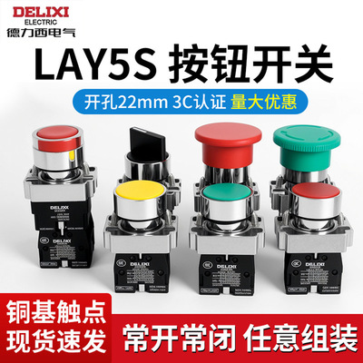德力西LAY8E按钮开关按压式LA38自锁启动停止11BN带灯自复位点动