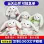 关节毛绒小熊公仔包布娃娃