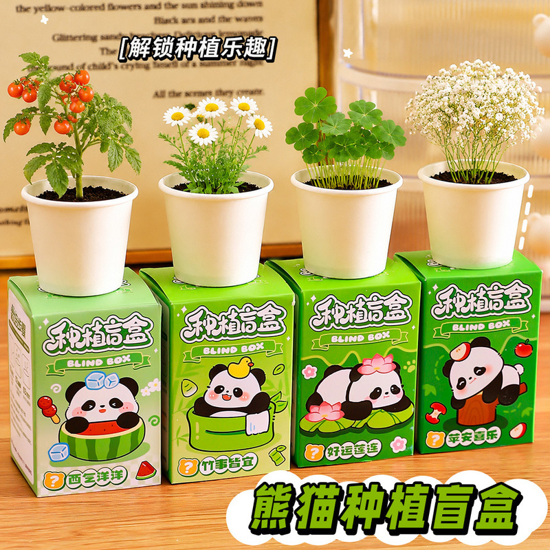Creative Panda Plant Growing Blind Box Paper Desktop Mini Potted Plant Seeds Children's Observation Handmade Plants Wholesale