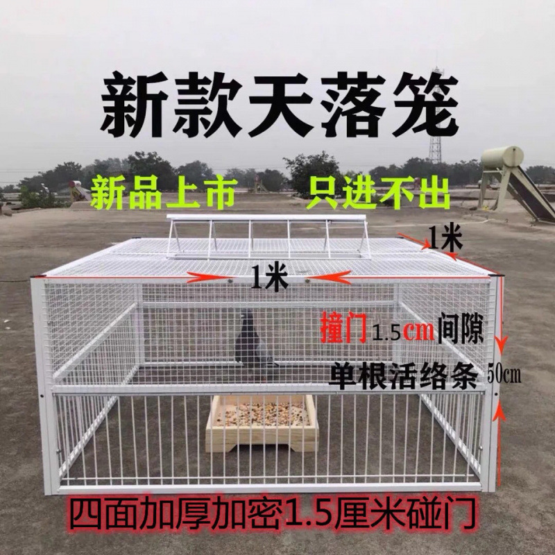 逋鸽神器鸽子天落笼只进不出鸽子笼活络门撞门笼鸟笼跳笼养殖笼|undefined