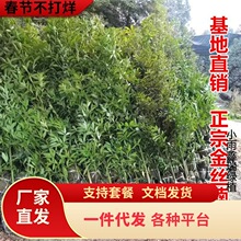 һ�����l���ڽ�z�ľ������С�~�E�ͥԺ�e�������������F�լ