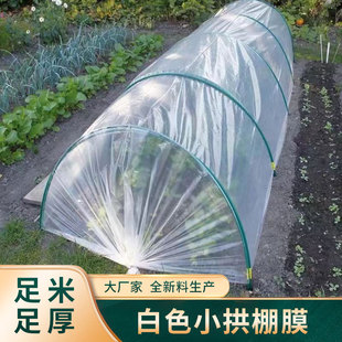Agricultural White Small Arch Shed Film, Greenhouse Film, Arch Shed Film, Seedling and Seedling Film, Two-Film Film, Dust-Proof Film