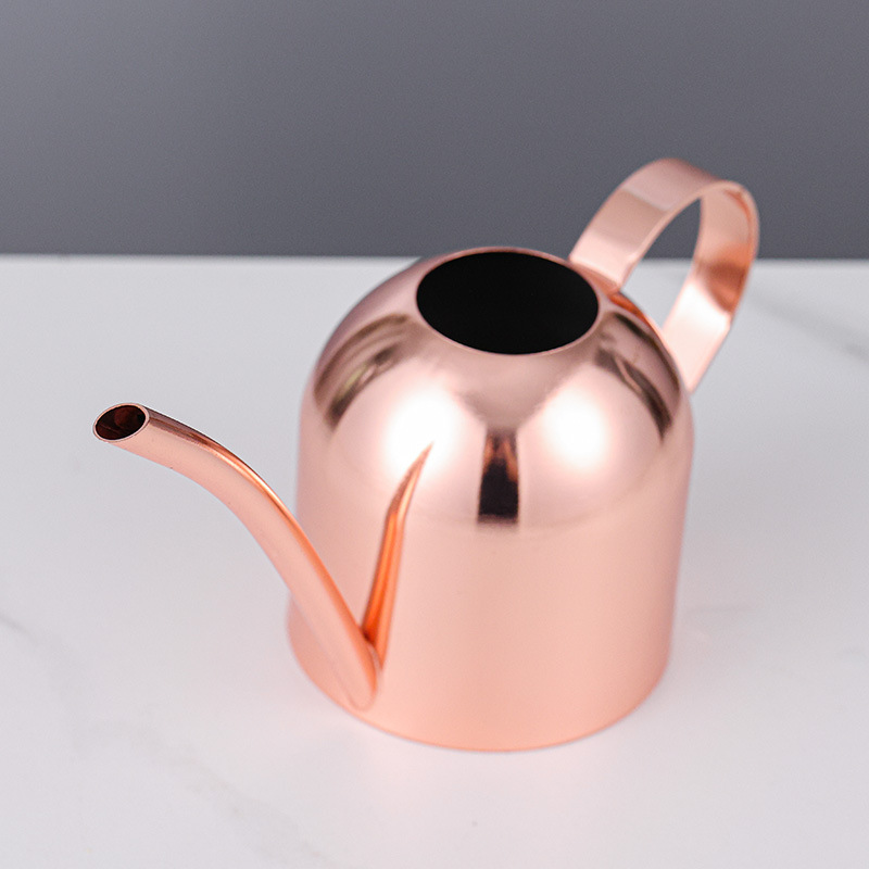Olla de riego de acero inoxidable señaló boca Rosa regadera de oro metal vintage suculento planta verde regadera 1000ml image 6