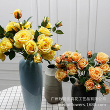 õ�ａ��õ����滨�ٻ��ҾӾƵ��b�c��չ�컨�� 5�^����õ��