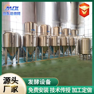 定制精酿啤酒发酵罐家用小型不锈钢酿酒设备酒厂用整套锥形发酵罐
