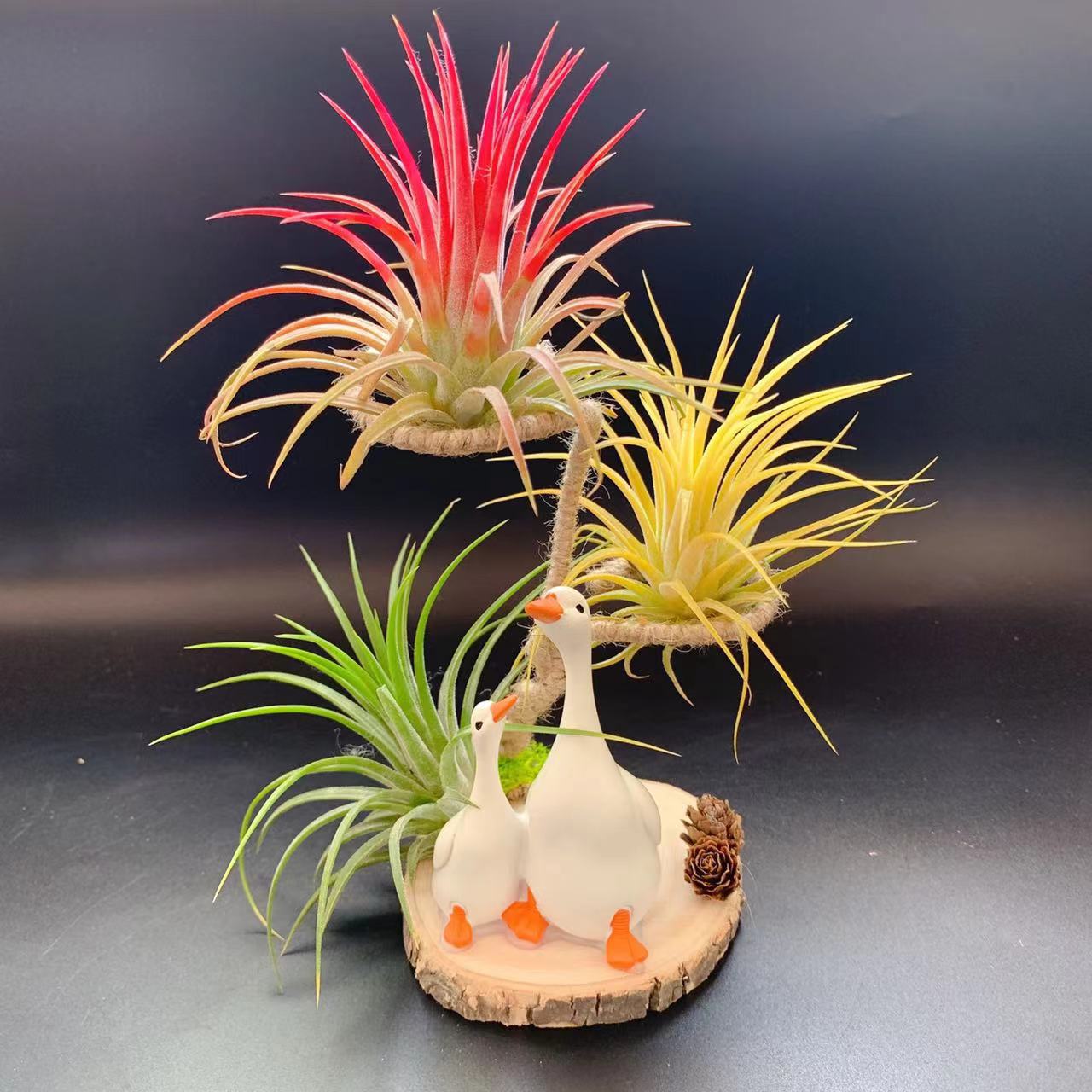 微信图片_20240418153706