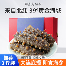 【原产地认证】鲜蒸即食海参礼盒装辽宁大连辽刺参0添加孕妇可食