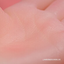 ����ģչʾ����ģ������ģ��ֱ�����z���������Ʒ�錚չʾ��Ů