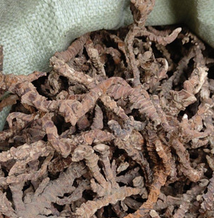 500�˶���������ʯ���Ѹ�����ȫ��δ�����Ѹ�����Ѭ��ԭ�Ͽɴ��