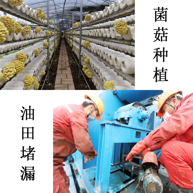 棉籽壳堵漏种植基质