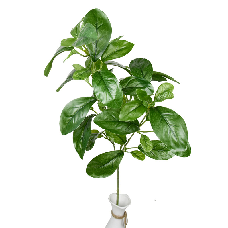 75cm 치자 나무 잎