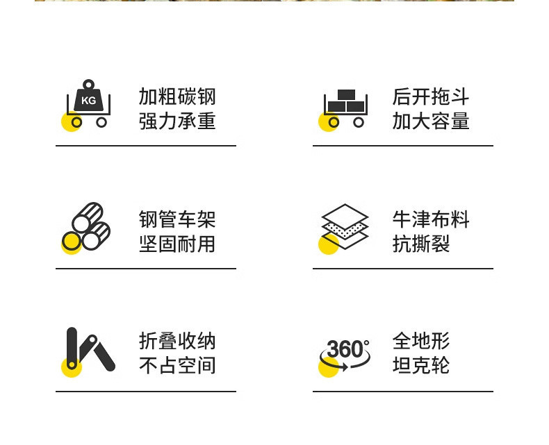 0c4bc762-332e-42b3-bfa5-08d115ed906b.jpe