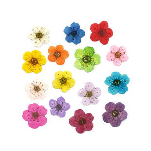 Сˮ�����׸ɻ���ƿѺ������ֲ��˱����z�֙C���滨���ϰ�diy