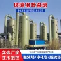 脱硝脱硫酸雾工业净化塔