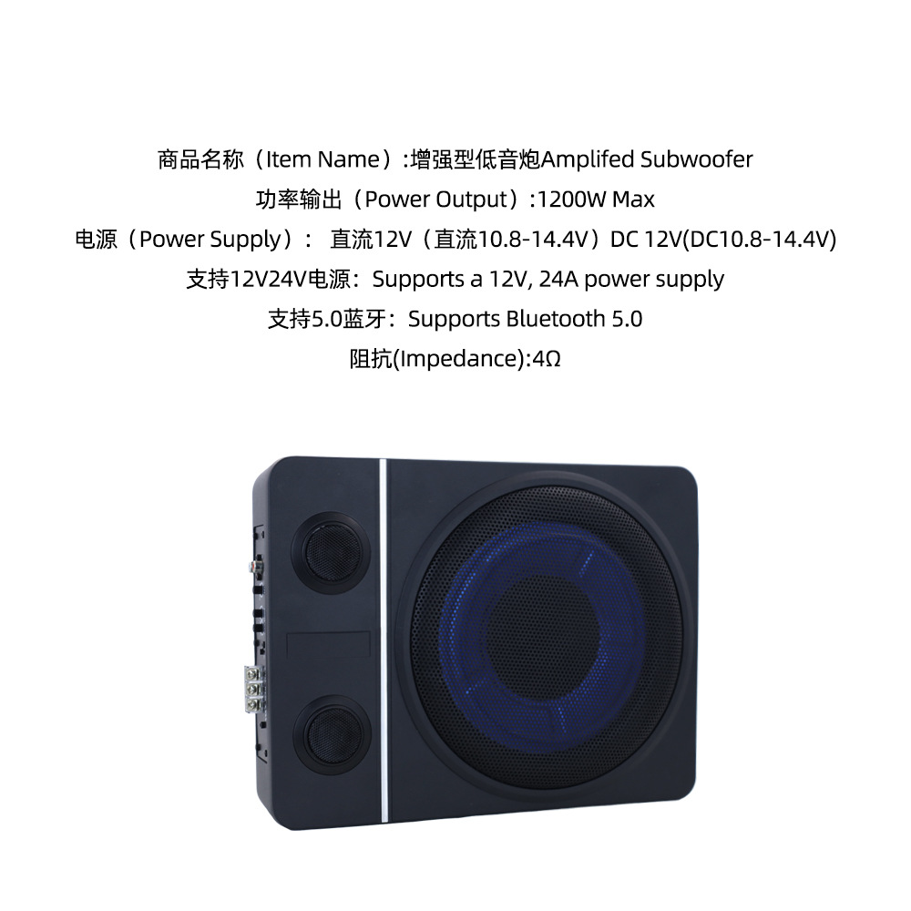 10寸带双高音5.jpg