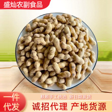 农家铁锅炒花生2025年新货带壳熟花生原味炒熟坚果零食可代发批发