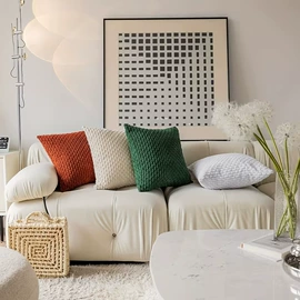 抱枕套;靠垫/抱枕;法兰绒毯