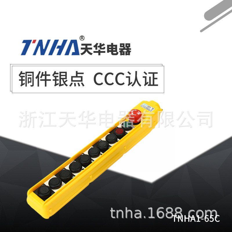 TNHA1-65C 65CS COBC行车防雨电动葫芦工业起重机控制按钮开关