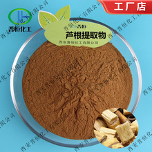 现货销售 鲜芦根提取物 鲜芦根粉芦根多糖水溶、芦根提取物