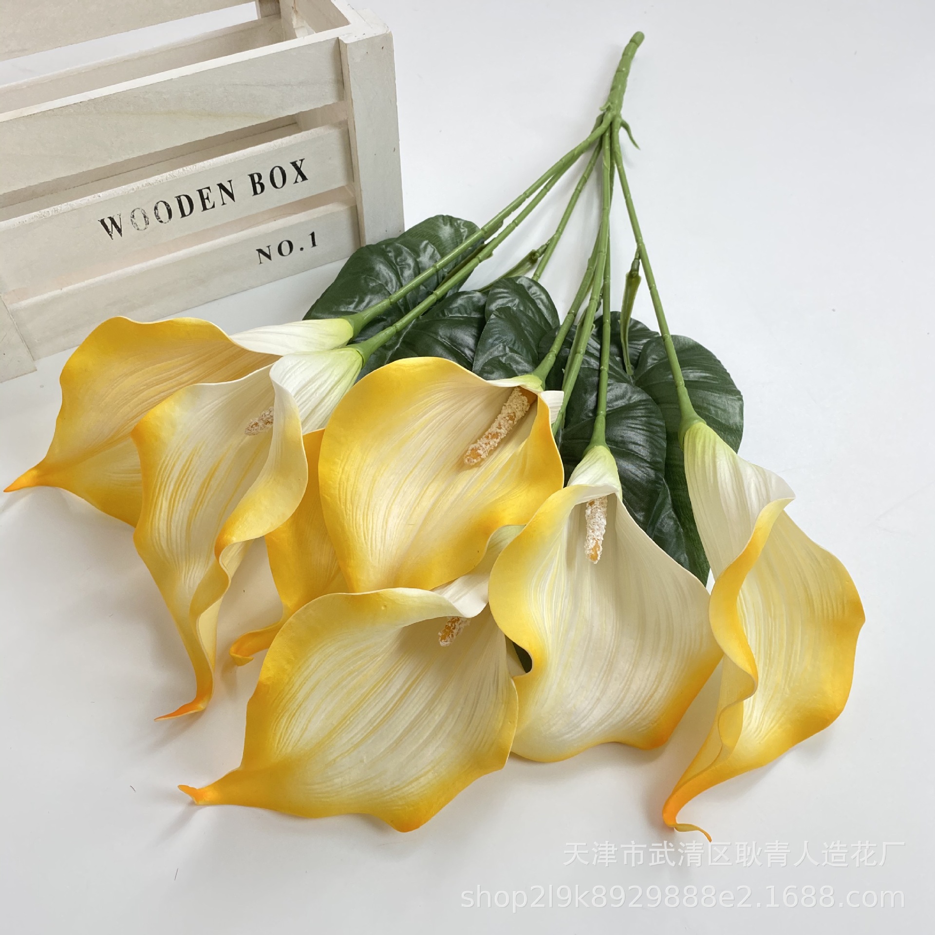 19126b8e699acf62f8d9ce9a15259a