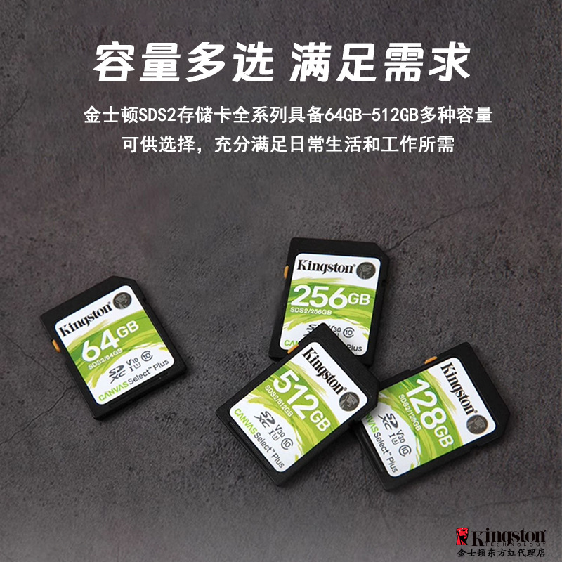 Kingston sds2 series old and new versions random