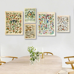 Mushroom plant illustration butterfly insect specimen poster living room bedroom home decoration painting canvas hanging painting wholesale