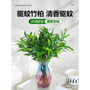 ˮ���������ļ��҃ȷ��ò�ֲ��ˮ�B�Gֲ����С�����ļ����B�׻�