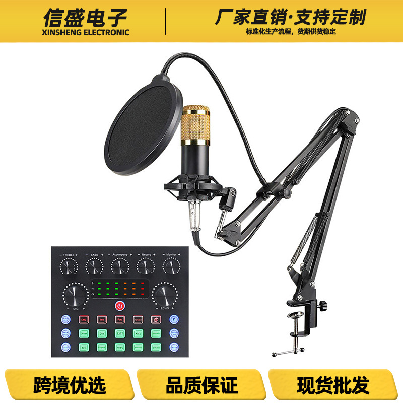 Cross-Border Direct Supply Bm800+V8S Live Broadcast Sound Card Set English Export Model Compatible with Multiple Foreign Live Broadcast Platforms