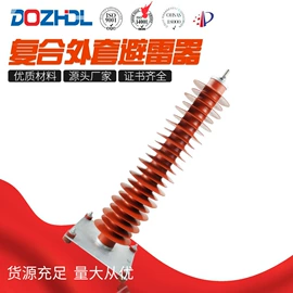 隔离开关;绝缘子;避雷器