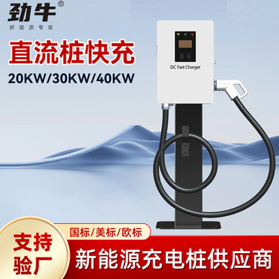 欧标7KW新能源汽车充电桩直流快充刷卡扫码壁挂立柱户外跨境专供|ms