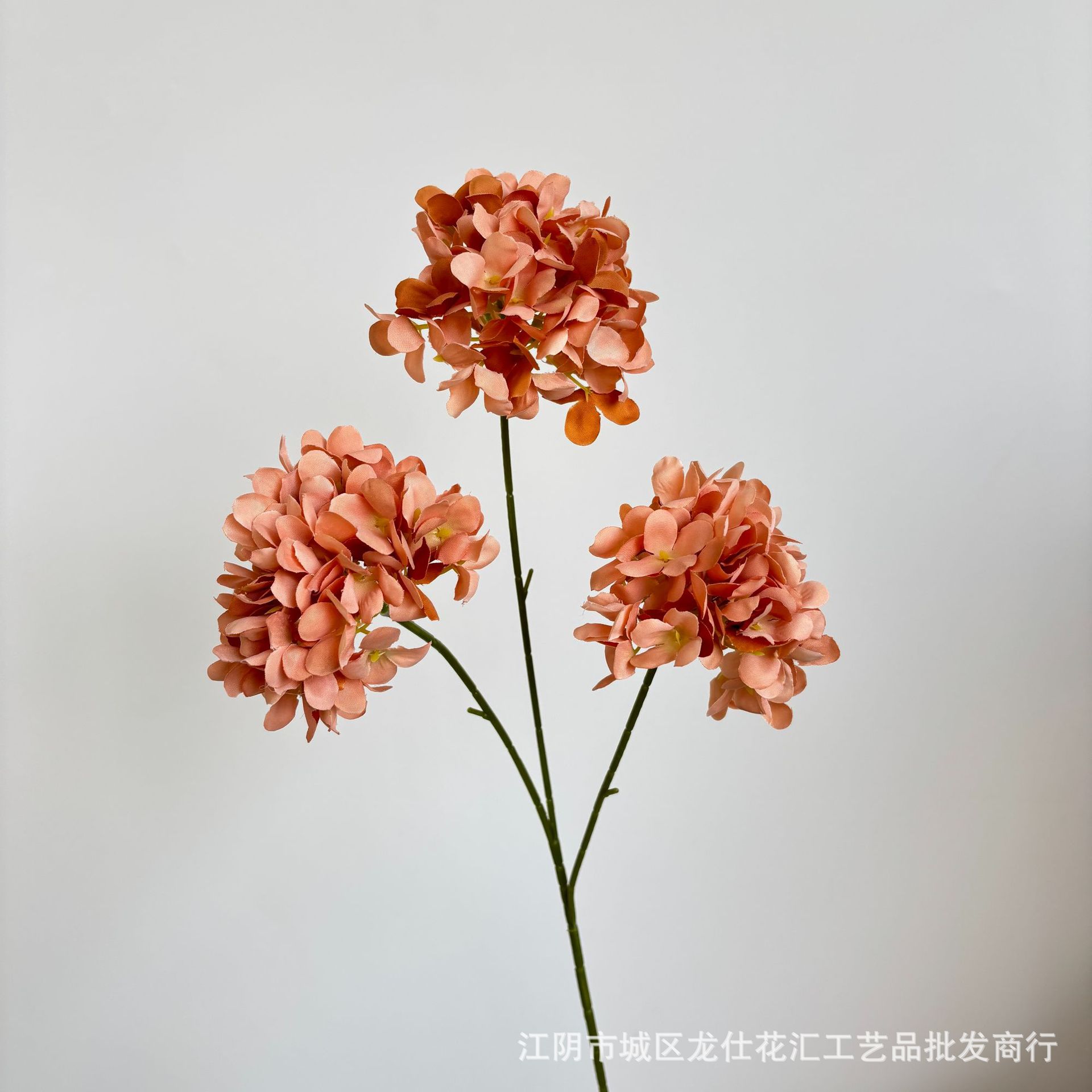 커피
