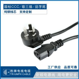 勝牌國標3C插頭電源線現貨環保純銅芯家電設備電器插座源頭廠