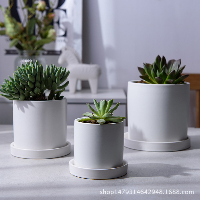 Modern Simple White Round Succulent Small Flower Pot Scandinavian Home Ceramic Creative Flower Pot Furnishings Factory Wholesale