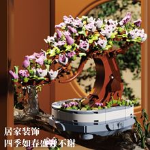 SֱЇeľԶeľ[ƴbնY