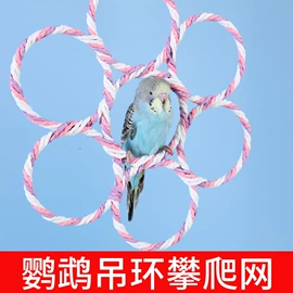 其他小宠用品;鸟类;喂食器