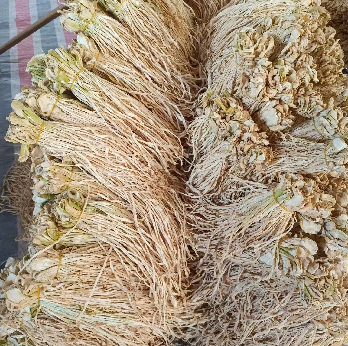 Трансграничная специализированная редька из измельченной сушеной продукции