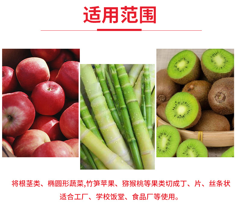 ZJ-80數(shù)控變頻切菜機_11