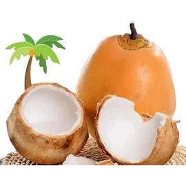 块茎类;苹果;其他水果